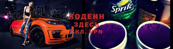 метадон Гусев