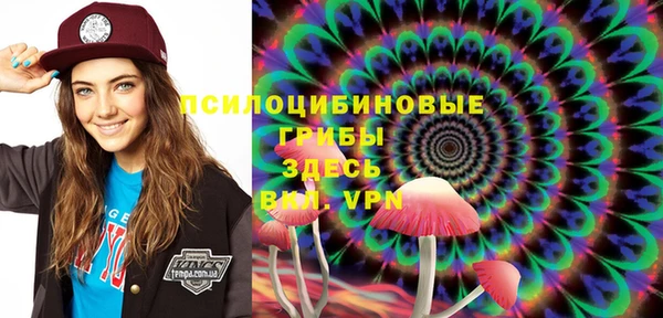 метадон Гусев