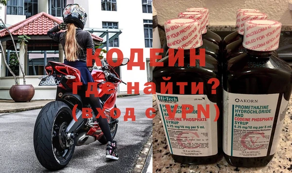 метадон Гусев